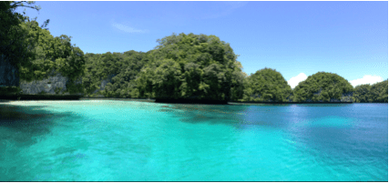 Screen Shot 2014-05-14 at 10.55.51 AM